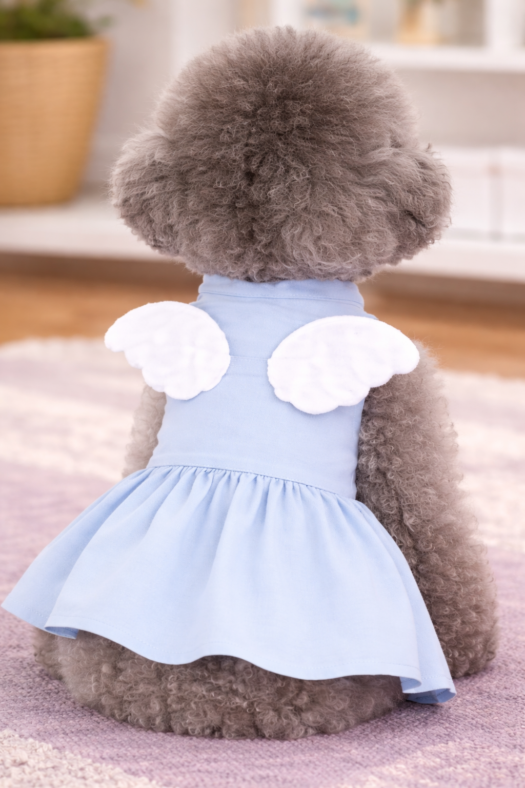 Ropa para Mascotas – Comodidad y Estilo para tu Peludito