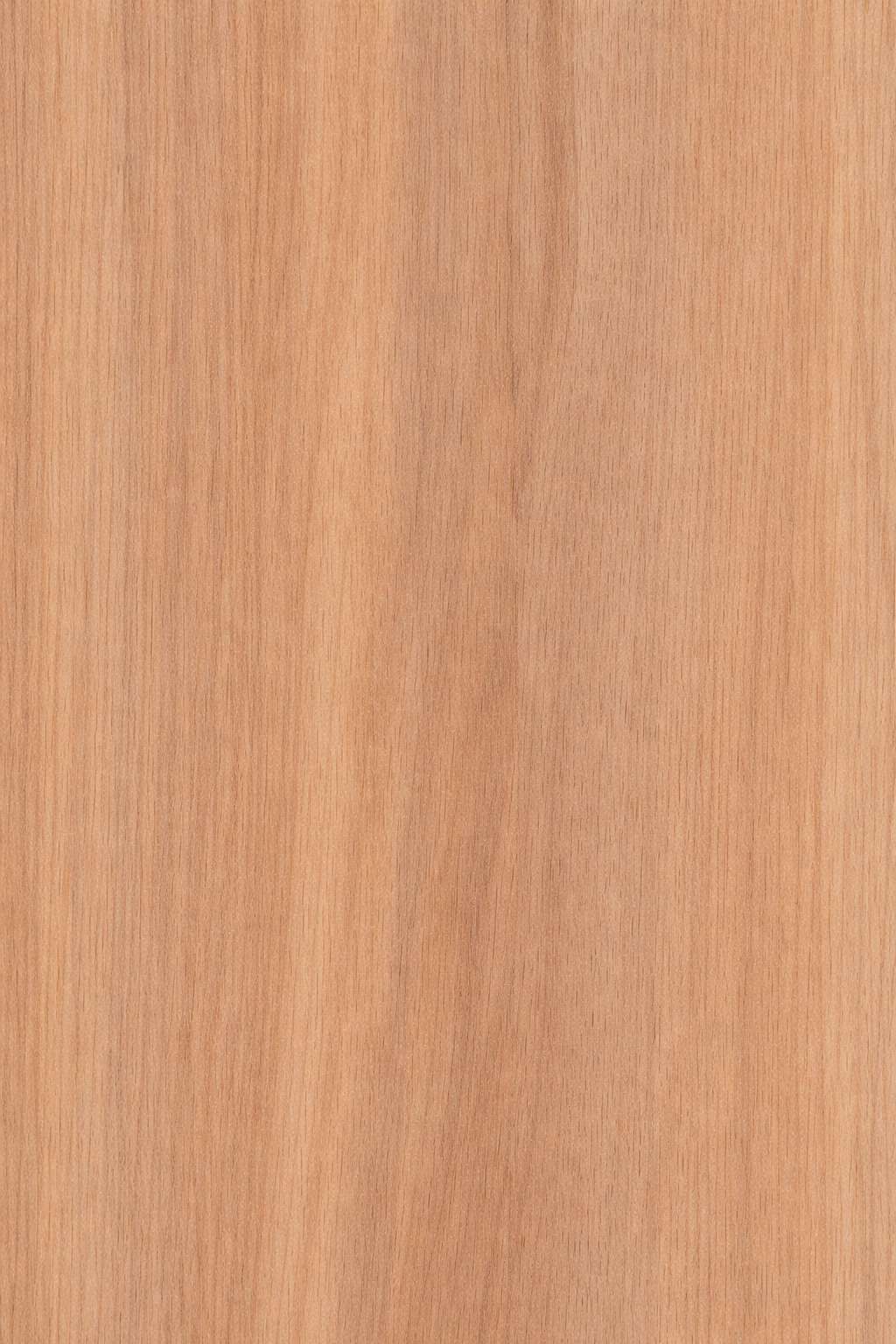 Esquinero PVC – El Ángulo de Protección Definitivo