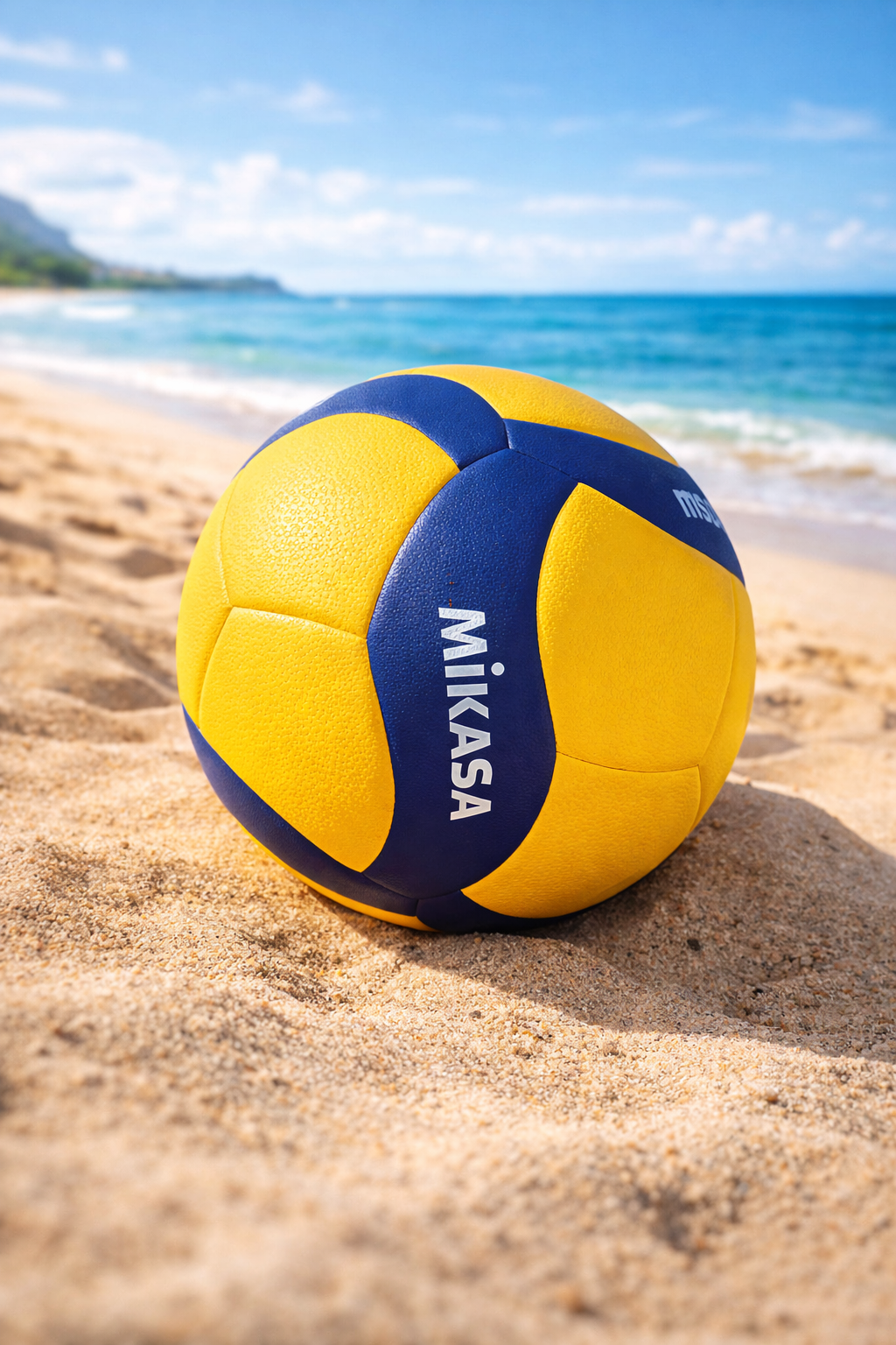 Pelota de Voleibol