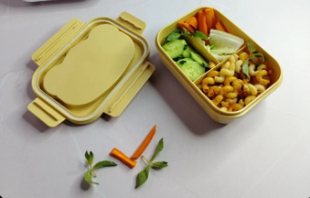 Caja de almuerzo plástica | 18.5 × 13.2 × 7.3 cm