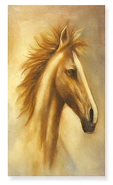 Cuadro Decorativo Artístico de Inspiración Natural & Náutica – Estilo Moderno