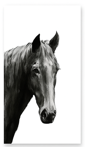 Cuadro Decorativo de Lujo (40x60 cm) - Toque Moderno y Elegante para Sala 