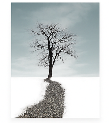 Cuadro Decorativo Moderno – Diseño Elegante para Interiores