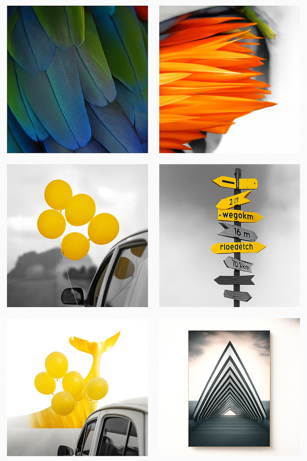 Cuadro decorativo para sala, tamaño 50×70 cm, moderno, elegante y de alta calidad