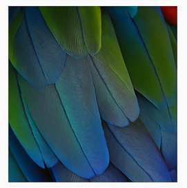 Cuadro decorativo para sala, tamaño 50×70 cm, moderno, elegante y de alta calidad. 