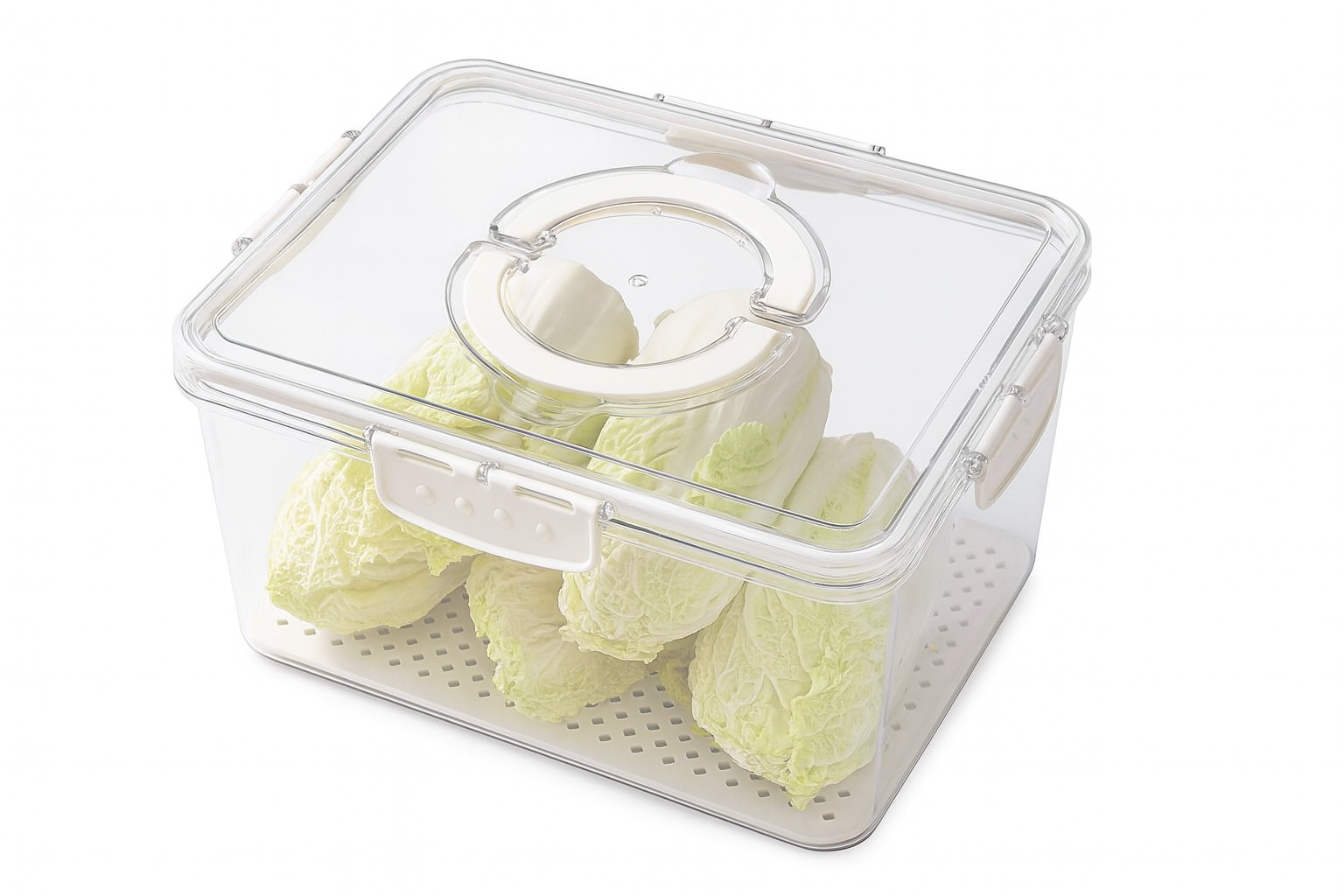Caja para Huevos – Plástico Organizador | 31 × 24 × 14.5 cm