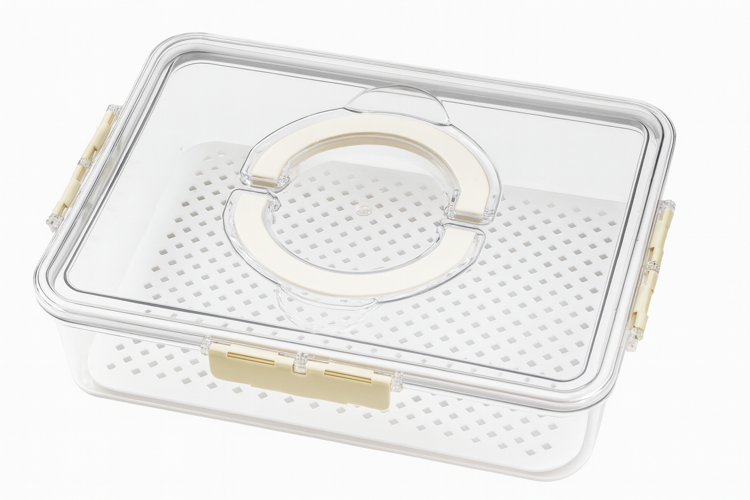Recipiente Hermético– Plástico para Conservar Alimentos | 31 × 24 × 7 cm