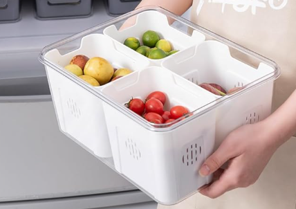 Recipiente Hermético– Plástico para Conservar Alimentos | 31 × 24 × 14.5 cm