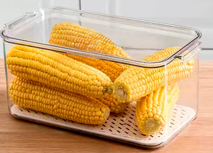 Caja para Conservar Alimentos – Plástico | 30,5 × 16 × 7,5 cm