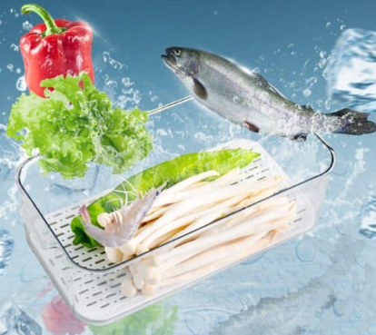 Caja para Conservar Alimentos – Plástico | 30.5 × 16 × 7.5 cm