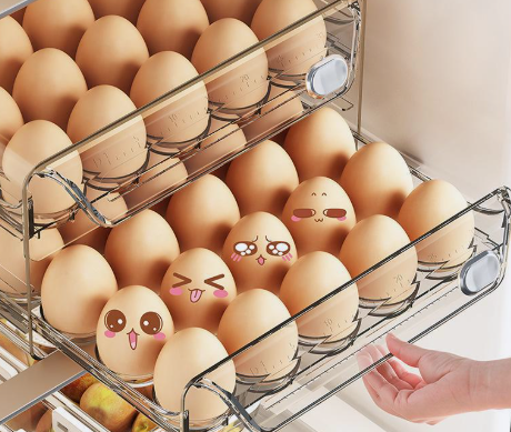 Caja Organizadora de Huevos con Temporizador– Transparente | 25×14×20cm