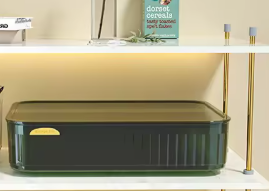 Caja de Almacenaje – Plástico Organizador | 24,3 × 16,4 × 8,2 cm