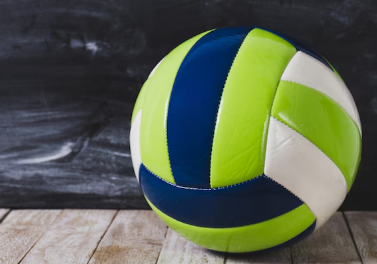 Pelota de voleibol