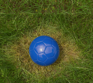 Pelota de fútbol